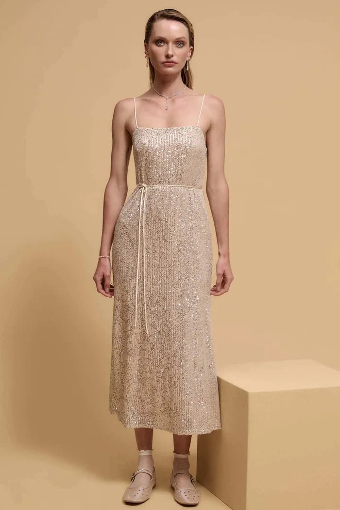 All That Glitters Sequin Midi Slip Dress - ShopPromesa