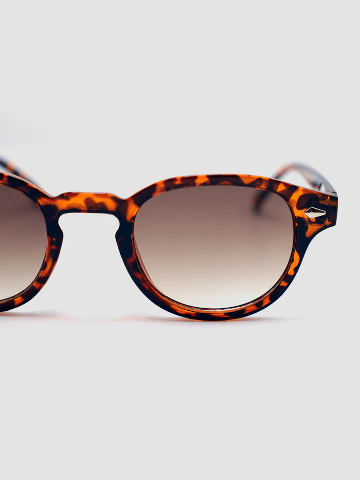 sunglasses / Brown Solan Turtoise Sunglasses