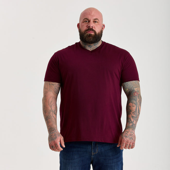 Fig V-Neck T-Shirt