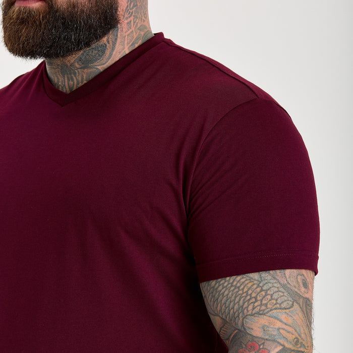 Fig V-Neck T-Shirt