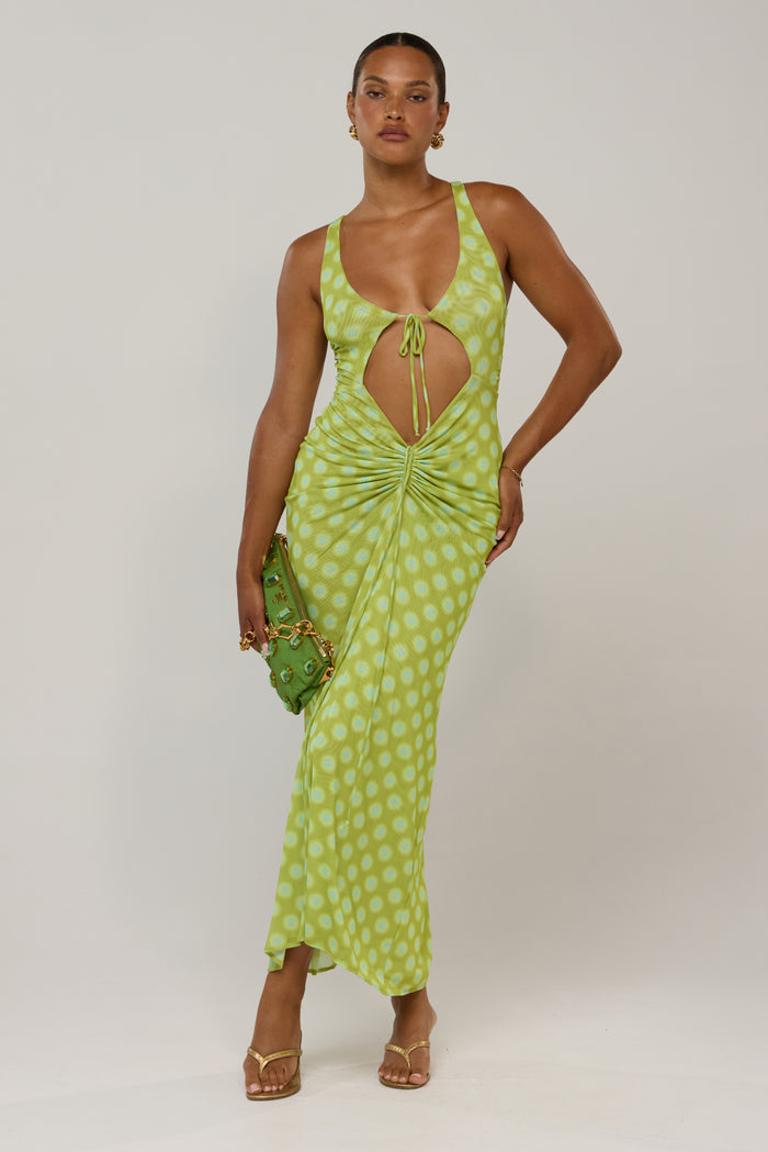 Ivy in Luma