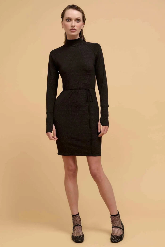 Sparkling Beauty Shimmer Knit Mock-Neck Mini Dress - ShopPromesa