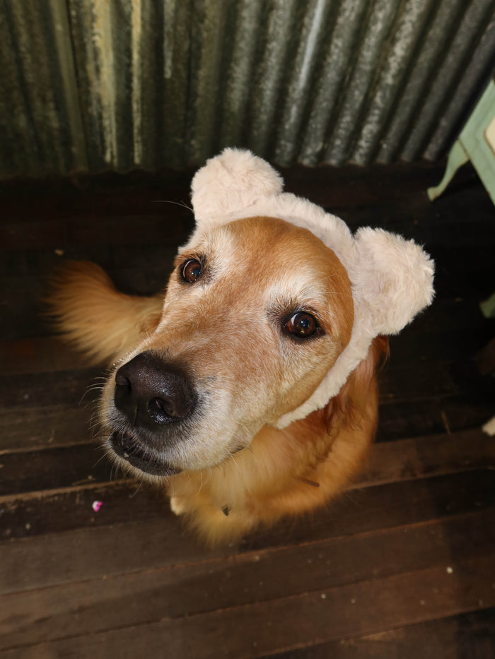TEDDY HEADBAND - LATTE